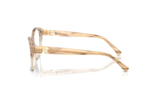 Vista laterale Ralph Lauren RL6236U (6111)