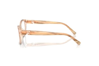 Vista laterale Ralph Lauren RL6237U (6110)