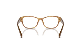 Vista posteriore Ralph Lauren RL6237U (6113)