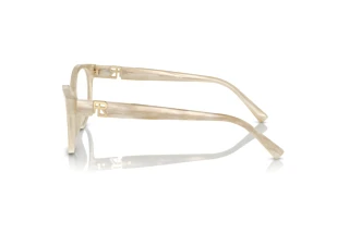 Vista laterale Ralph Lauren RL6238U (6107)