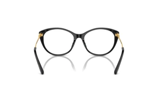 Vista posteriore Ralph Lauren RL6239U (5001)