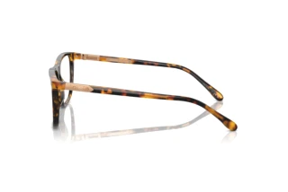 Vista laterale Ralph Lauren RL6242U (5134)