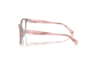 Vista laterale Ralph Lauren RL6243 (6183)