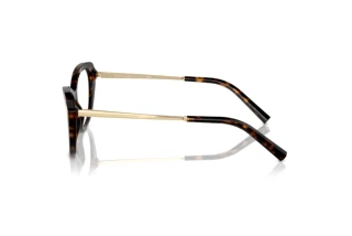 Vista laterale Ralph Lauren RL6245 (5003)