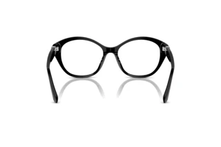 Vista posteriore Ralph Lauren RL6246U (5001)