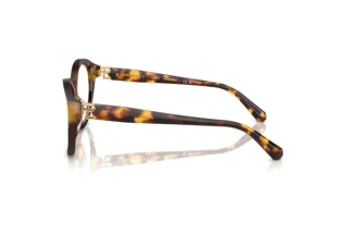 Vista laterale Ralph Lauren RL6246U (5134)