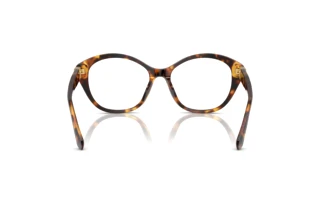 Vista posteriore Ralph Lauren RL6246U (5134)