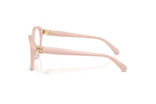 Vista laterale Ralph Lauren RL6246U (6053)