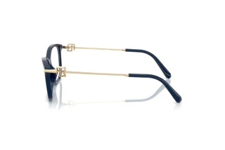 Vista laterale Ralph Lauren RL6247U (6215)