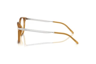 Vista laterale Ralph Lauren RL6248U (5275)