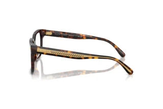 Vista laterale Ralph Lauren RL6249U (5003)