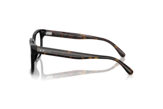 Vista laterale Ralph Lauren RL6249U (5241)