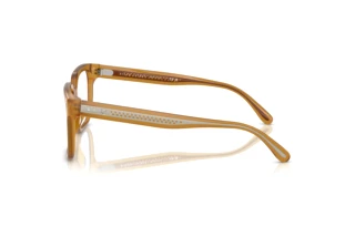 Vista laterale Ralph Lauren RL6249U (5275)