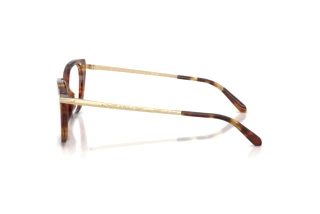 Vista laterale Ralph Lauren RL6250U (6056)