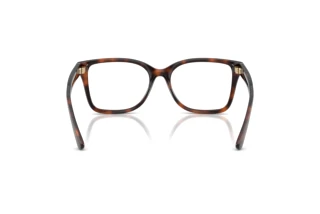 Vista posteriore Ralph Lauren RL6251U (6241)