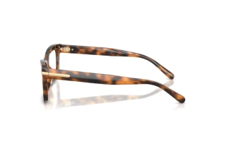 Vista laterale Ralph Lauren RL6255U (6089)