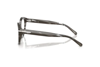 Vista laterale Ralph Lauren RL6256U (6175)