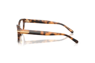 Vista laterale Ralph Lauren RL6257U (6089)