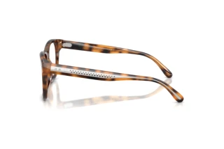 Vista laterale Ralph Lauren RL6260U (6089)