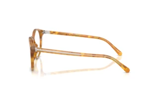 Vista laterale Ralph Lauren RL6263U (6185)