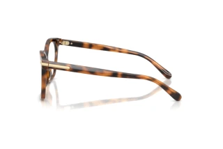 Vista laterale Ralph Lauren RL6266U (6089)