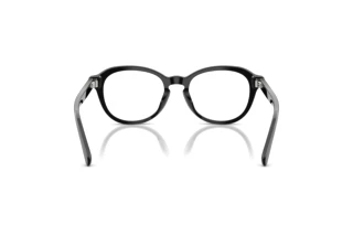 Vista posteriore Ralph Lauren RL6267U (5001)