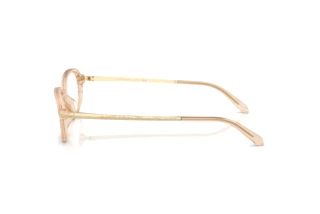 Vista laterale Ralph Lauren RL6269U (6062)