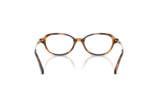 Vista posteriore Ralph Lauren RL6269U (6089)