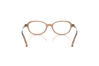 Vista posteriore Ralph Lauren RL6269U (6377)