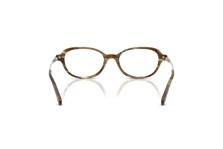 Vista posteriore Ralph Lauren RL6269U (6378)
