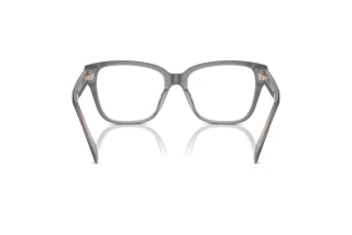 Vista posteriore Ralph RA7162U (6066)