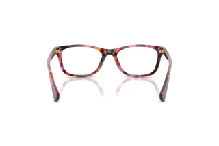 Vista posteriore Ralph RA7179U (6239)