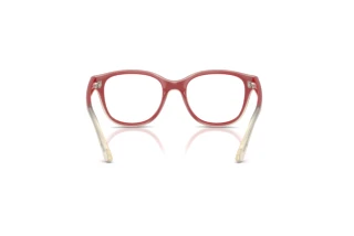 Vista posteriore Ray-Ban Kids RY1950 (7204)