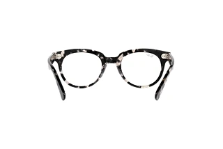 Vista posteriore Ray-Ban RX2199V (8117)