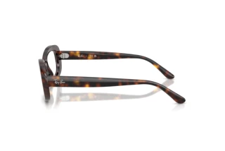 Vista laterale Ray-Ban RX2221V (2012)