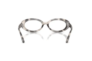 Vista posteriore Ray-Ban RX2223V (8480)