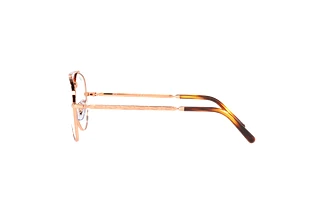 Vista laterale Ray-Ban NEW AVIATOR (RX3625V - 3094)
