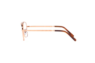Vista laterale Ray-Ban NEW CARAVAN (RX3636V - 3094)
