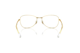 Vista posteriore Ray-Ban RX3733V (2500)