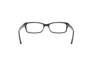 Vista posteriore Ray-Ban RX5187 (2445)