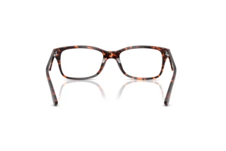 Vista posteriore Ray-Ban RX5228 (8423)