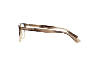Vista laterale Ray-Ban RX5375 (8107)