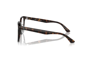Vista laterale Ray-Ban RX5425D (2012)