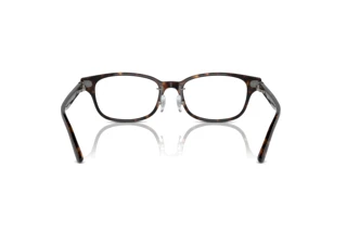 Vista posteriore Ray-Ban RX5427D (8287)