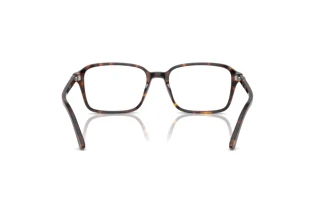 Vista posteriore Ray-Ban RAIMOND (RX5431 - 2012)