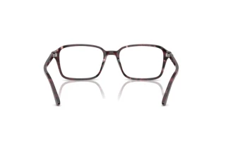 Vista posteriore Ray-Ban RAIMOND (RX5431 - 8393)