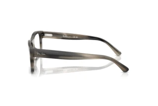 Vista laterale Ray-Ban RX5435 (8404)