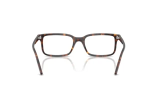 Vista posteriore Ray-Ban RX5445 (2012)