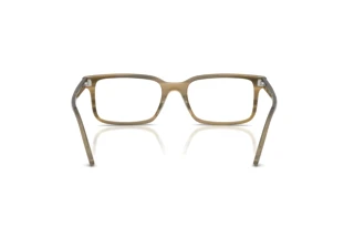 Vista posteriore Ray-Ban RX5445 (8454)