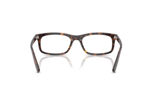 Vista posteriore Ray-Ban RX5450 (2012)